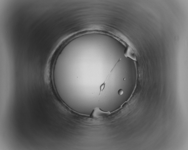 X0000102311116200808081559