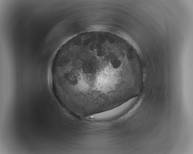 X0000102311117200808081559