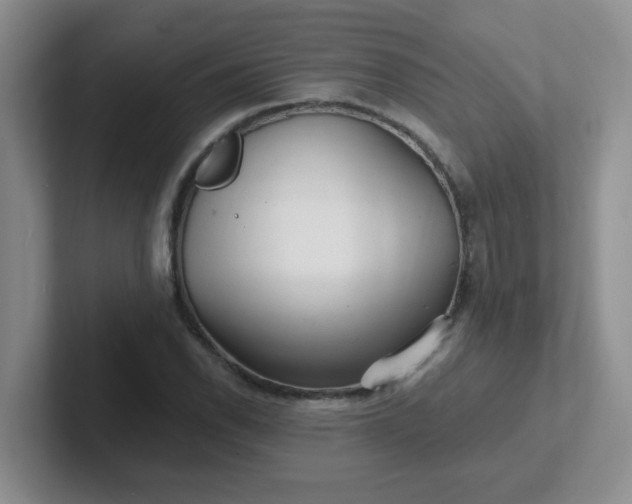 X0000102311118200808081559