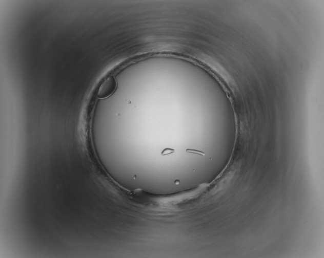 X0000102311119200808081559