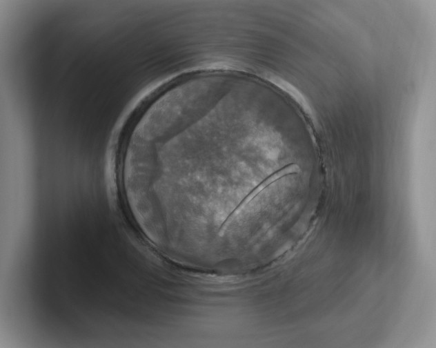 X0000102311120200808081559