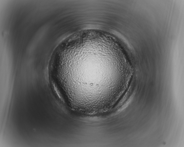 X0000102311121200808081559