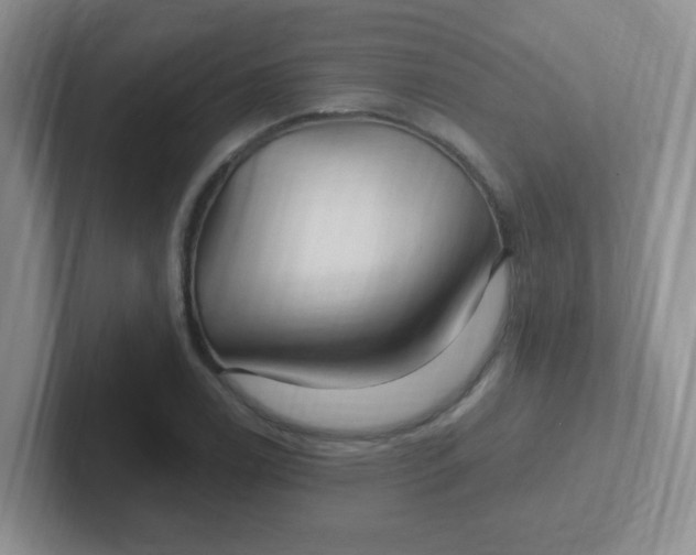 X0000102311122200808081559