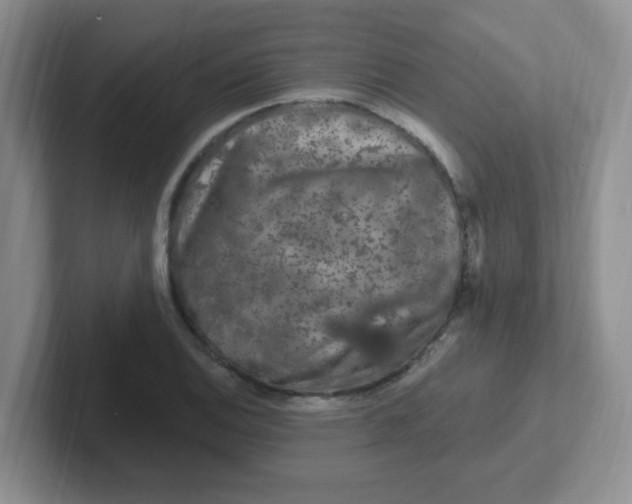 X0000102311124200808081559