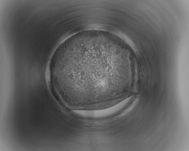 X0000102311125200808081559