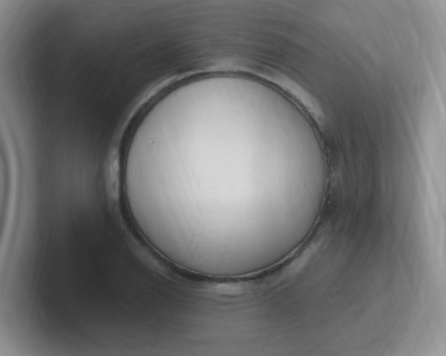 X0000102311126200808081559