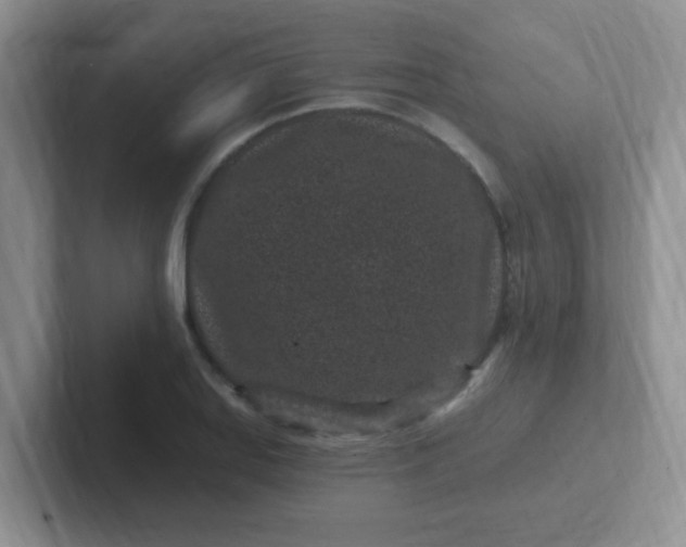 X0000102311127200808081559