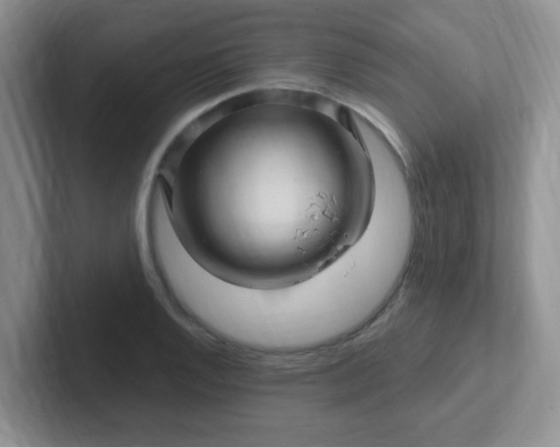 X0000102311128200808081559