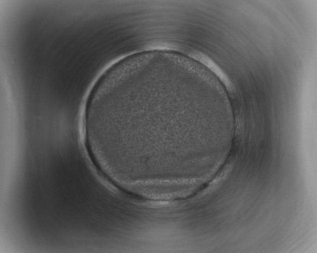 X0000102311132200808081600