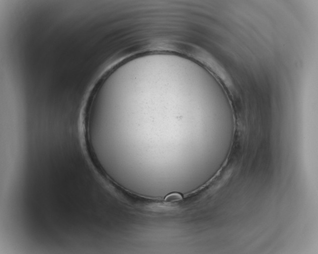 X0000102311133200808081600