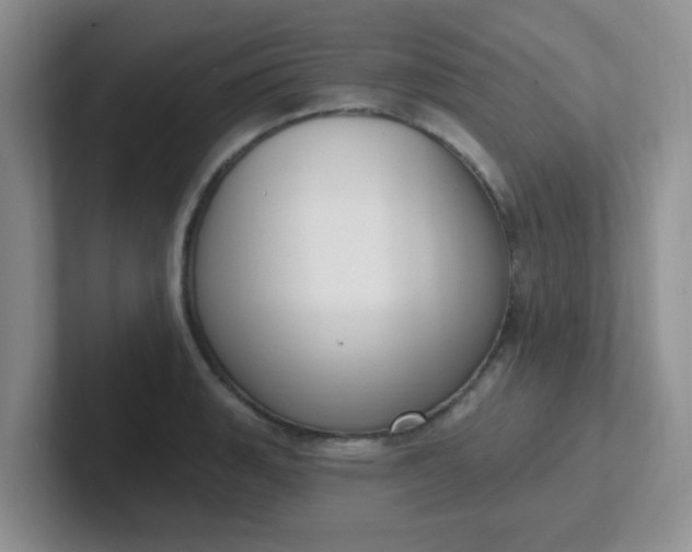 X0000102311135200808081600