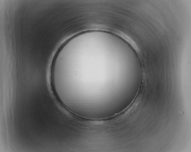 X0000102311136200808081600