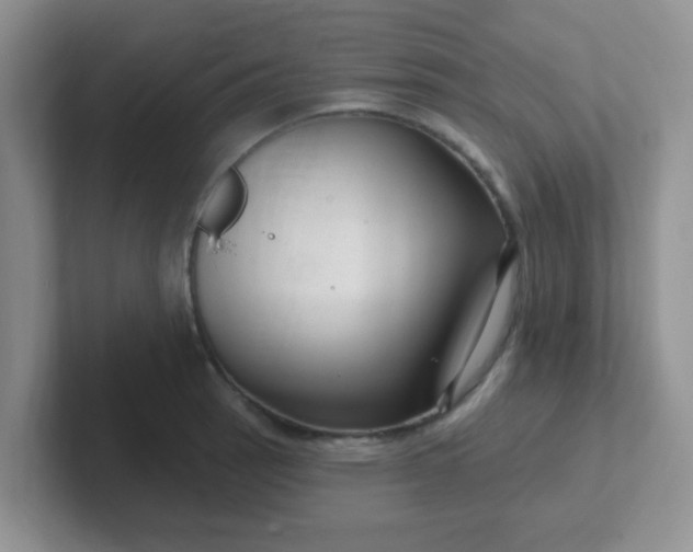 X0000102311137200808081600