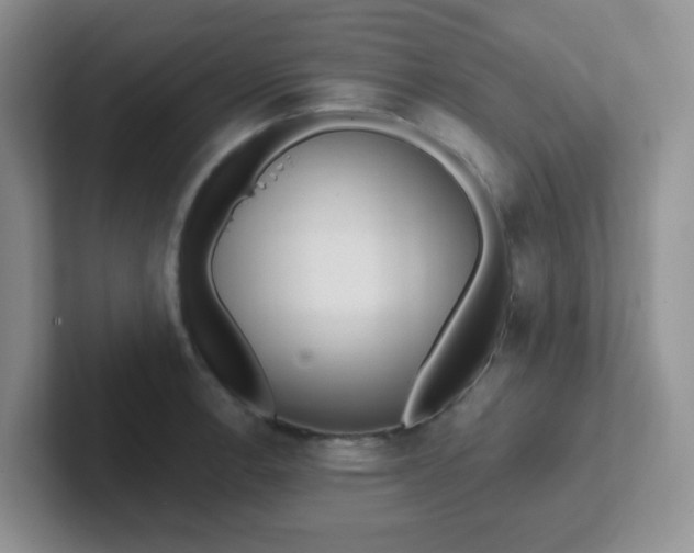 X0000102311138200808081600