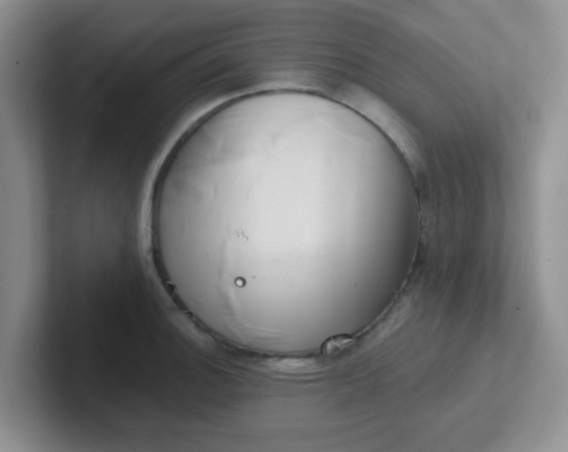 X0000102311140200808081600