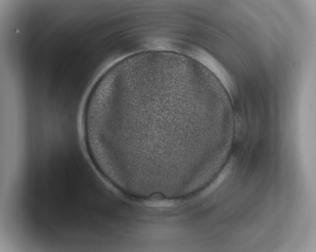 X0000102311141200808081600