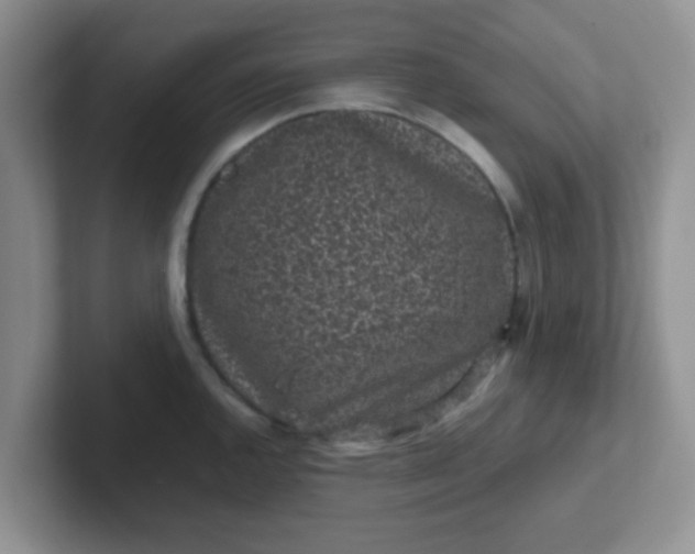 X0000102311144200808081600