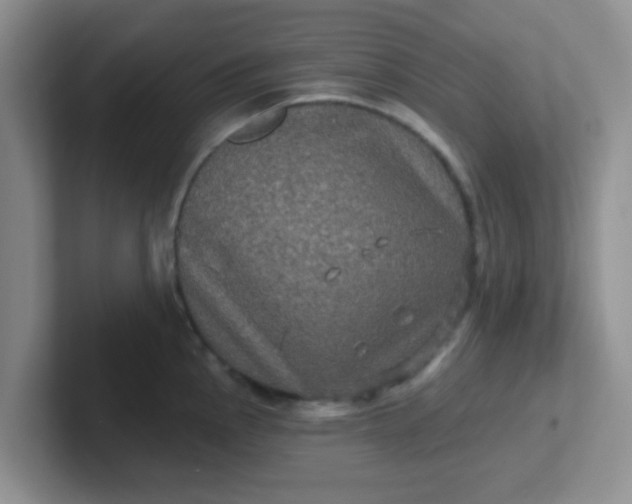 X0000102311145200808081600