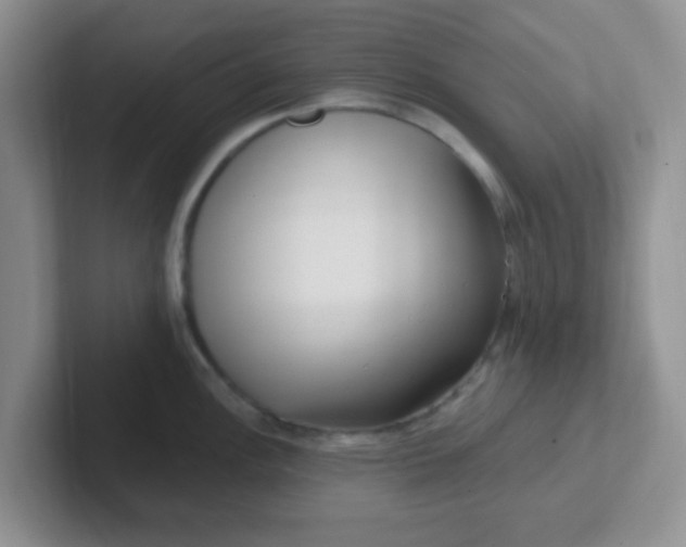 X0000102311148200808081600