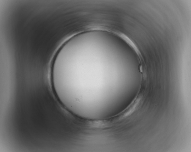 X0000102311149200808081600