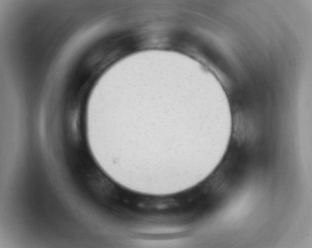 X0000102311150200808081600