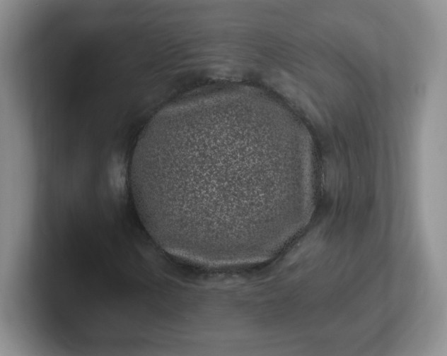 X0000102311154200808081559