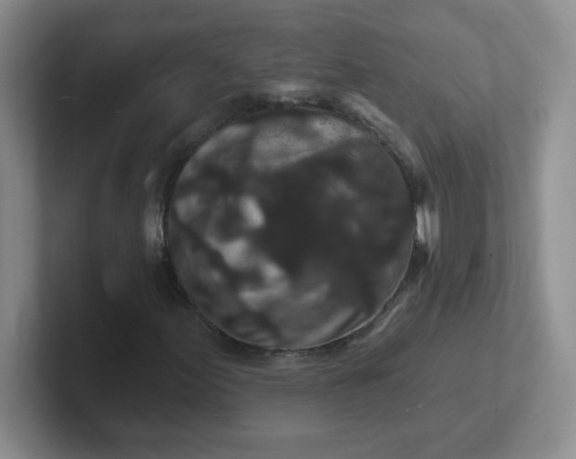 X0000102311155200808081559