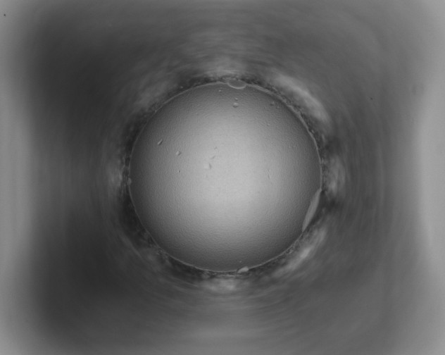 X0000102311157200808081559