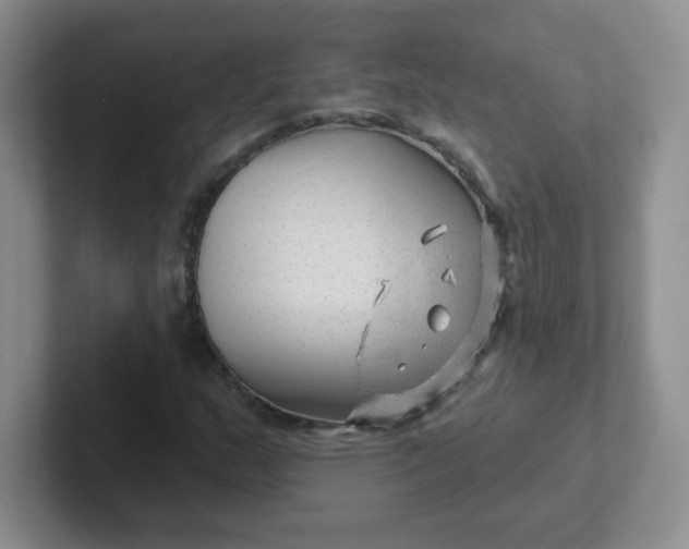 X0000102311159200808081559