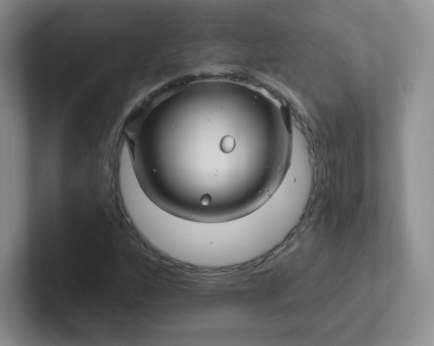 X0000102311160200808081559