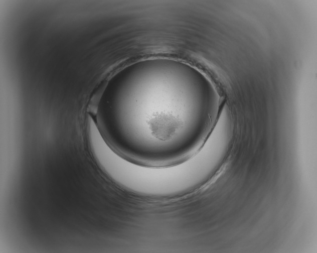 X0000102311161200808081559