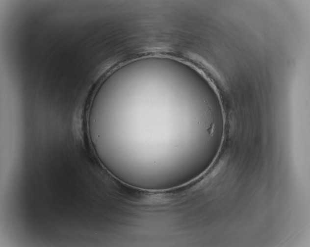 X0000102311162200808081559