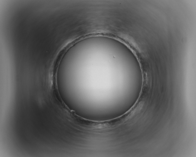 X0000102311165200808081559