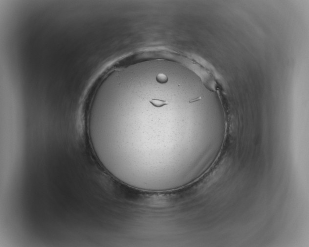 X0000102311167200808081559