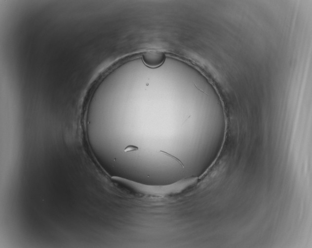 X0000102311168200808081559