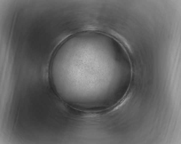 X0000102311170200808081559