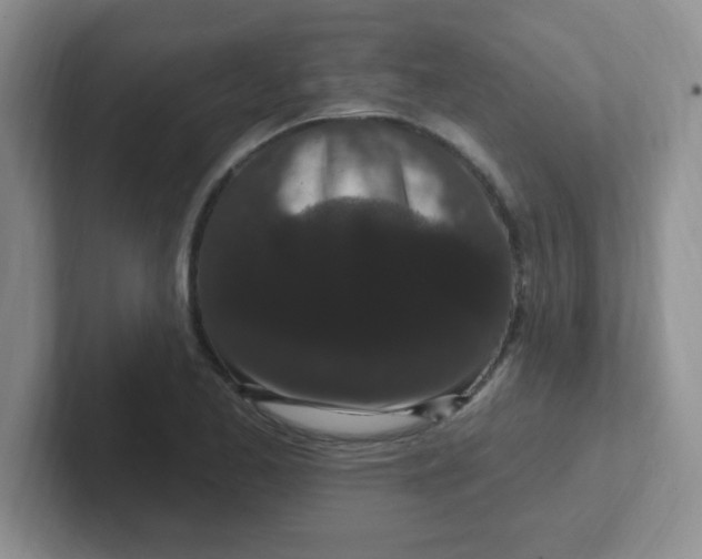 X0000102311173200808081559