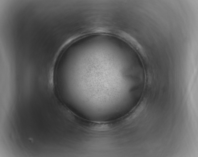 X0000102311174200808081559