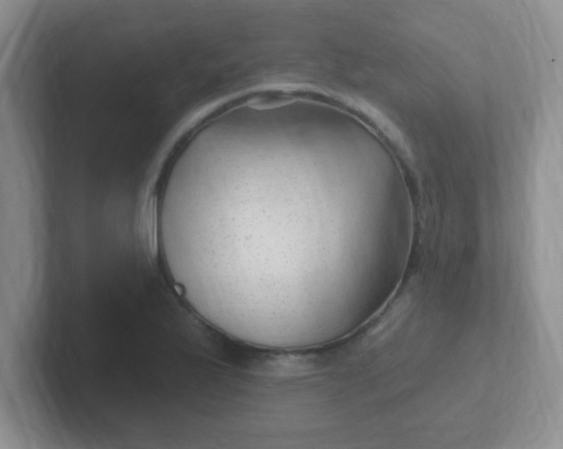 X0000102311175200808081559