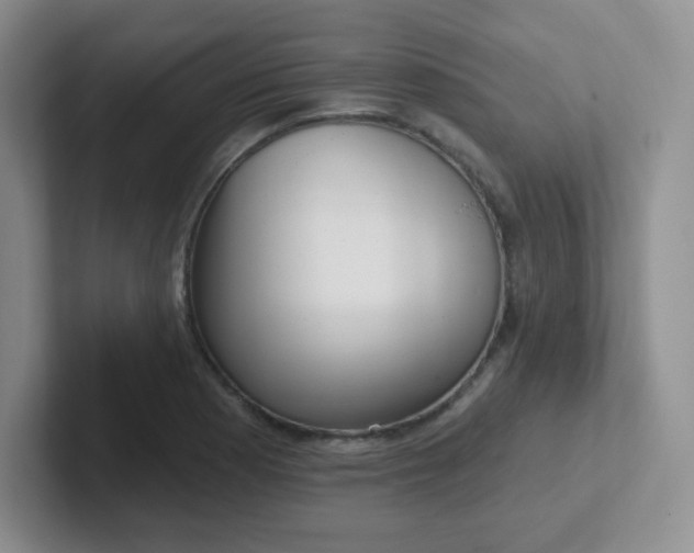 X0000102311177200808081559