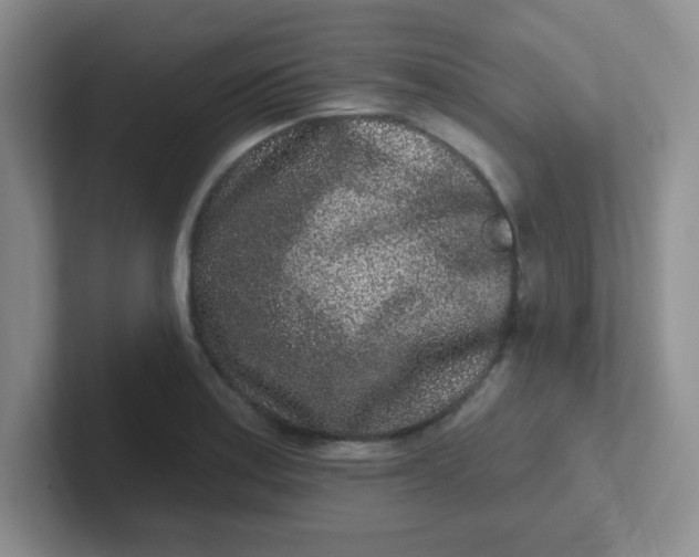 X0000102311179200808081559