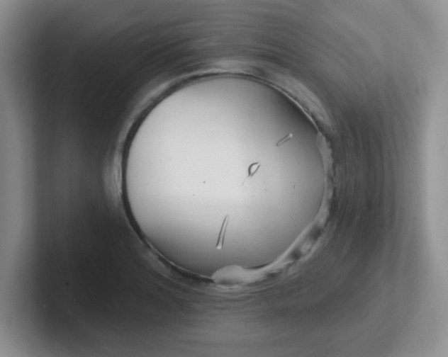 X0000102311180200808081559