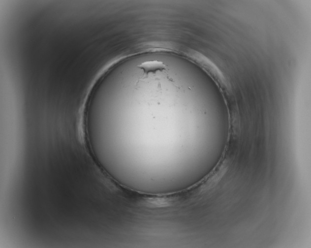 X0000102311182200808081559