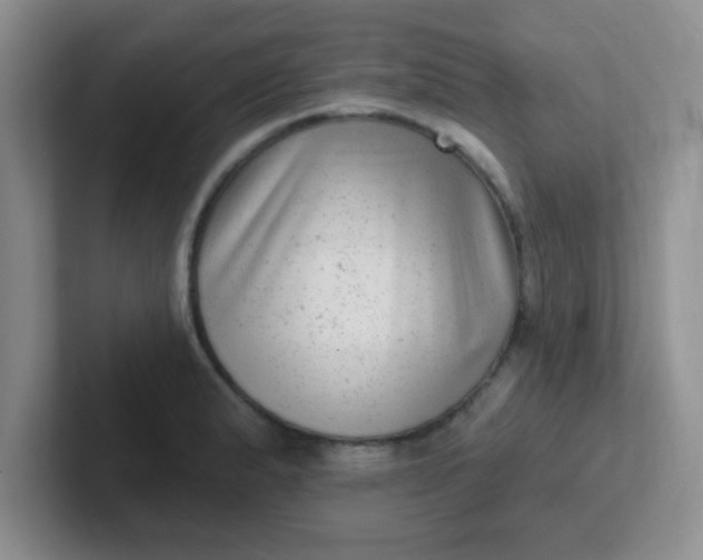 X0000102311183200808081559