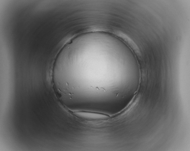 X0000102311185200808081559