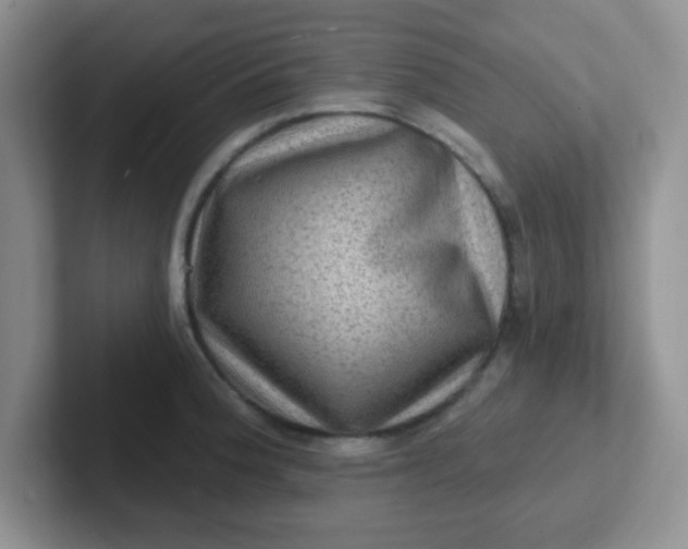 X0000102311188200808081559