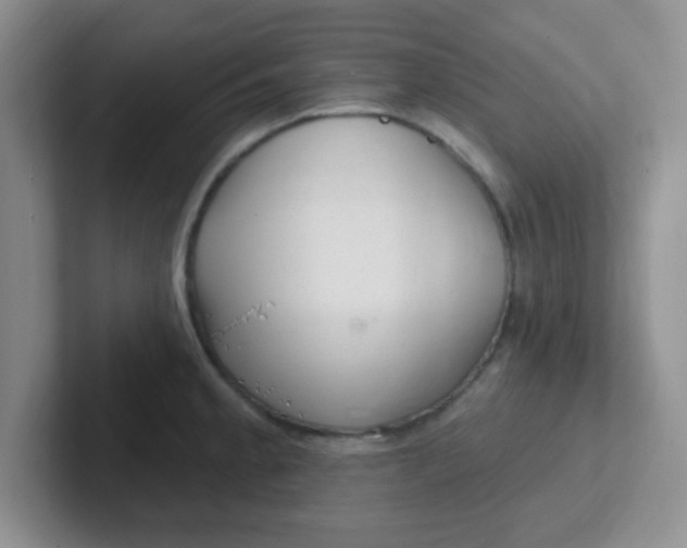 X0000102311189200808081559