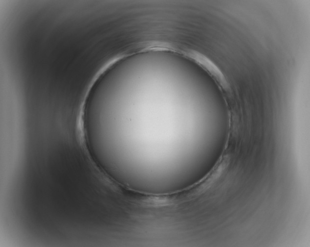 X0000102311190200808081559