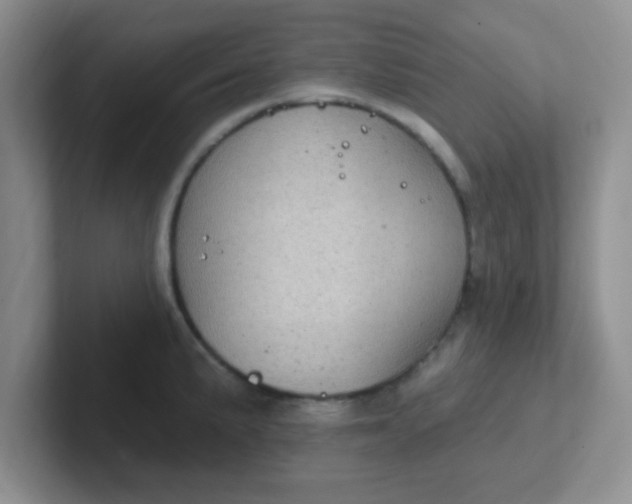 X0000102311191200808081559