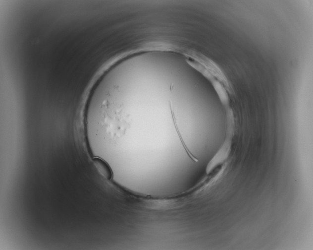 X0000102311192200808081559